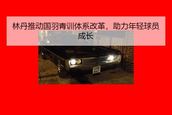 lin-dan-tui-dong-guo-yu-qing-xun-ti-xi-gai-ge-zhu-li-nian-qing-qiu-yuan-cheng-zhang-3-137.jpg