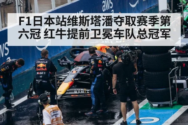 Red Bull F1 team